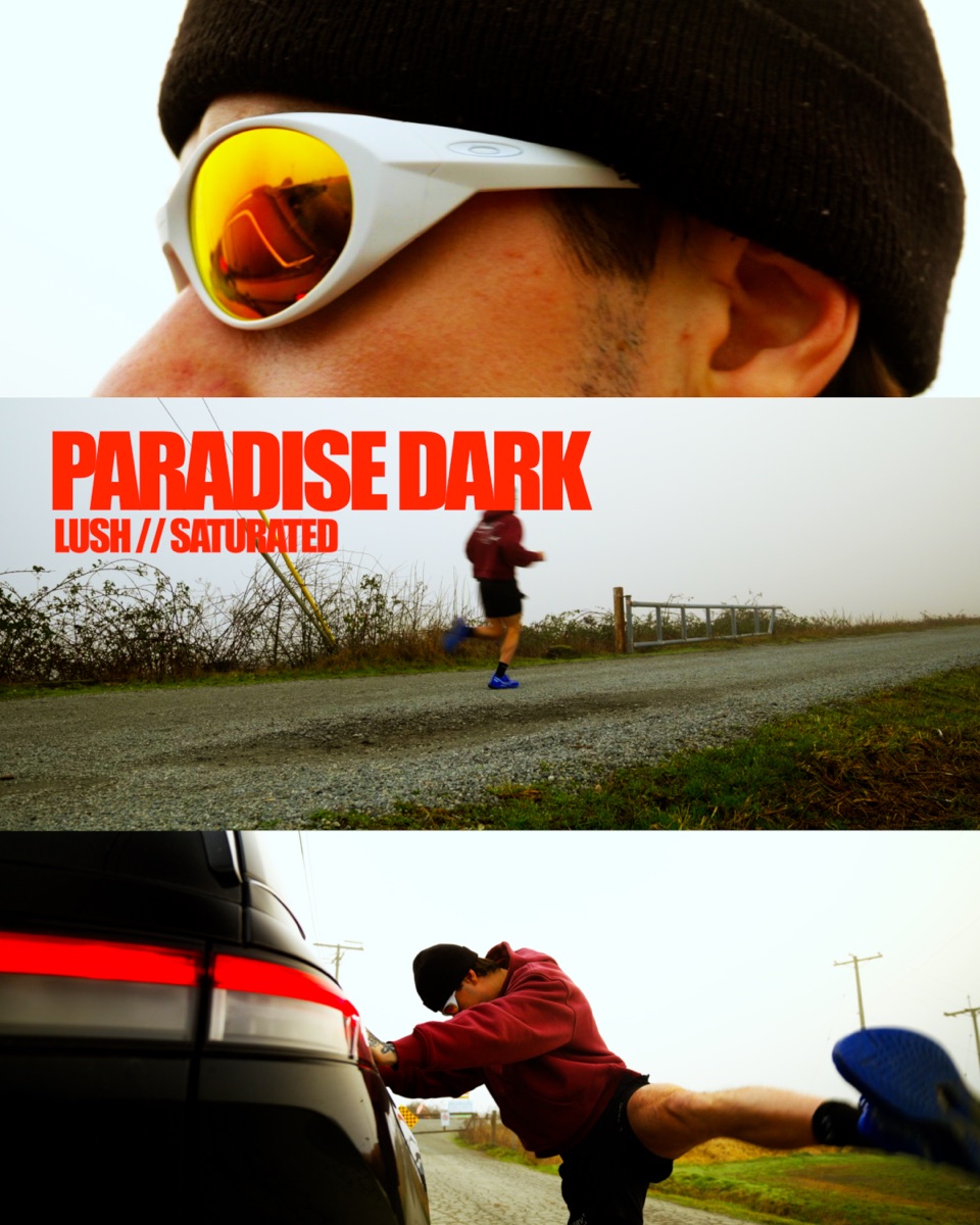 Paradise Dark LUT
